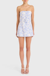 Fae Dress in Toile Brocade