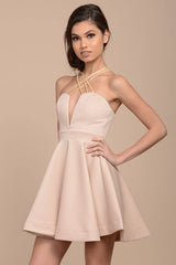 Karrin Fit and Flare Dress Nude